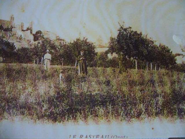 photo